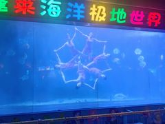 -蓬莱欧乐堡海洋极地世界