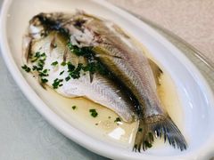 清蒸白鱼-大鸿运酒店·苏州菜·松鼠桂鱼(观前街店)