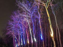 -枫花园汽车电影院(朝阳公园店)
