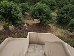 -东莞植物园
