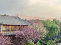 -时光吧·大堂吧·丽江和府洲际度假酒店
