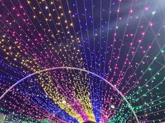 -青龙湖公园