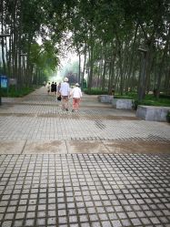 -仁和公园儿童游乐场