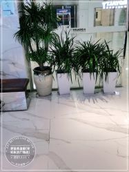 -罗亚帝造型·烫发染发