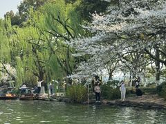 -西湖游船