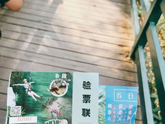 -西双版纳原始森林公园