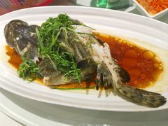 -湖锦酒楼·旗舰店(三阳总店)