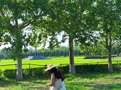 -汉长安城未央宫国家考古遗址公园