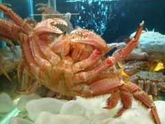 -璞御·海鲜·雪花牛肉局(宾水西道店)
