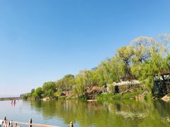 -东方巨龟苑景区