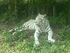 -乐和乐都主题乐园