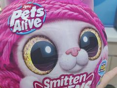 -TOYSRUS玩具反斗城(天津远洋乐堤港店)