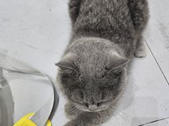 -派特宠物医院(圆融广场店)