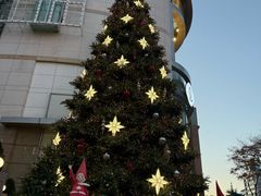 -乐天免税店(明洞店)