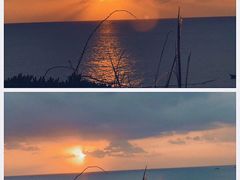 -枸杞岛