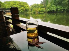 -张鸟园农家乐(张鸟园店)