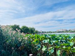 -济南大明湖景区