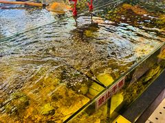 -顺德了能馆(虎门店)