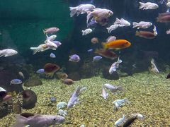 -常州海昌海洋探索馆