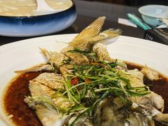 泉水鲤鱼-燕喜堂·中华老字号(大明湖店)