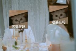 -金夫人婚纱摄影(总店)