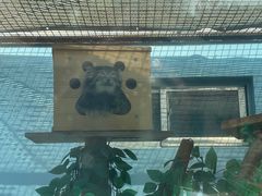 -青藏高原野生动物园