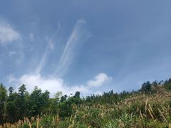 -长沙黑麋峰国家森林公园