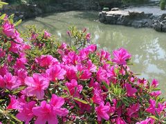 -上海植物园·停车场