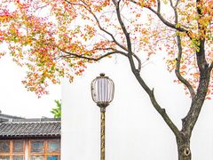 -老门东历史文化街区