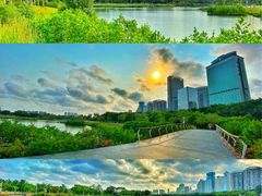 -万绿园