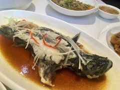 -金春禧(英雄山路旗舰店)