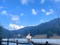 -武陵山森林公园