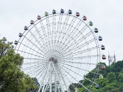 -温州乐园