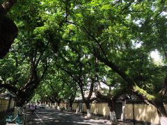 -颐和路民国时期公馆风貌区