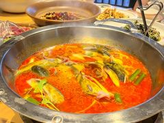 -老凯俚酸汤鱼(多彩城店)