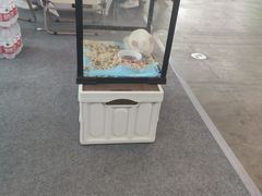 -沈阳国际会展中心管理有限公司