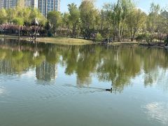 -群力丁香公园