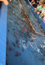 -萌宠亲子动物乐园(槐房万达店)