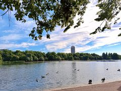 -海德公园