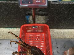 -蚝专家(北滘店)