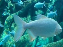 -波塞冬旅游度假区