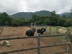 -西安秦岭野生动物园