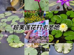 -云溪植物园