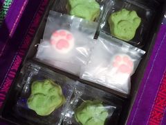 -猫咪博物馆(顶澳仔猫街店)