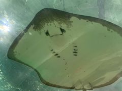 -苏州海洋馆