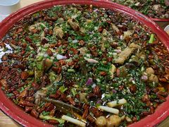 来凤鱼-东吴霸王兔(松青路店)