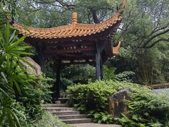 -广州兰圃