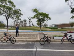 -春花秋色城市公园