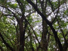 -北海市海滨公园