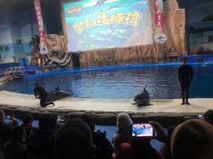 -华夏文旅海洋公园